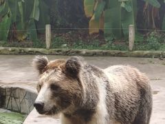 -贵州森林野生动物园