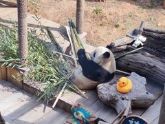 -大连森林动物园