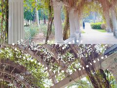 -文华公园(禅城区)