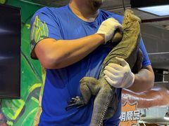 -上海大自然野生昆虫馆(东方明珠·爬宠昆虫探索中心)