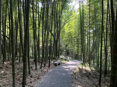 -采石矶景区