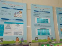 -中国医科大学附属盛京医院(滑翔院区)