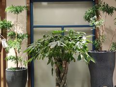 大堂-小船渔村•大连菜•大连焖鱼(黄河路店)