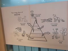 -瑞思英语·少儿英语启蒙(和平·国际商场示范校区)