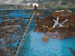 -清水湾3号(东方小周海鲜店)