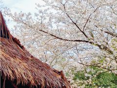 -中国茶叶博物馆(双峰馆区)