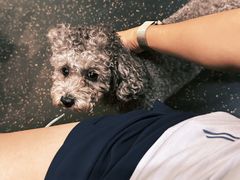 -每练有胜健身工作室(EFC店)