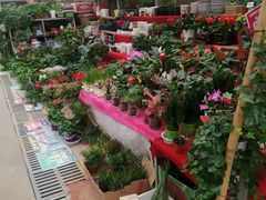 -秦美花卉(天朗·莱茵小城2期店)