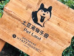 -上海崇明金茂凯悦酒店