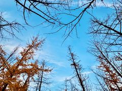 -汉长安城未央宫国家考古遗址公园