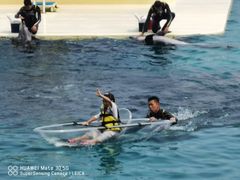 -秦皇岛乐岛海洋王国