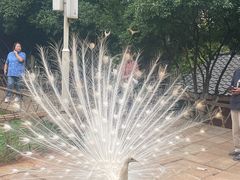 -昆明动物园