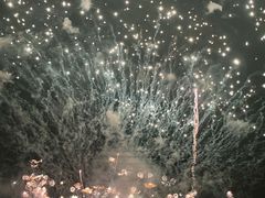 -南宁花花大世界景区