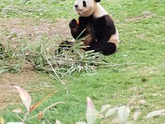 -西安秦岭野生动物园