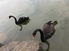 -上海怡沁园度假酒店