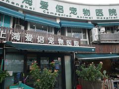 -爱侣宠医·鹦鹉专科·小型哺乳类·异宠专科(灵石路店)