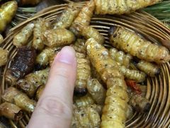 -昆虫窝子·特色云南菜(拓东路总店)