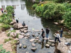 -重庆彩云湖湿地公园
