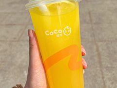 -CoCo都可(光谷天地店)