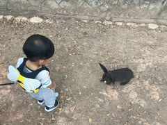 -灵玲国际马戏城