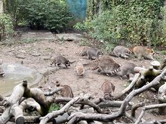 -宁波野生动物园