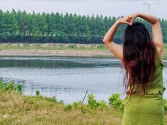 -黄海国家森林公园