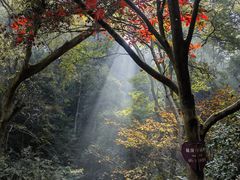 -岳麓山风景名胜区