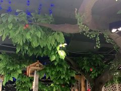 -蕃茄述·好汤自然来(江汉路店)