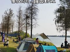 -鹤之洲湿地公园