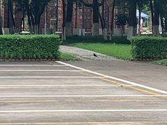 -浙江万里学院(回龙校区)
