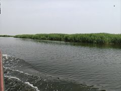 -白洋淀景区