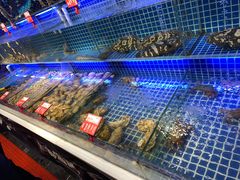 -必点海鲜·鲅鱼水饺(鞍山西道店)