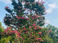 -国家植物园南园