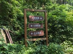 -大岭沟猕猴桃谷风景区