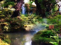 -Chom Cafe and Restaurant