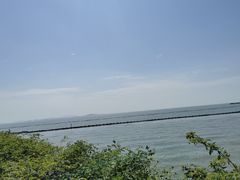 -贡湖湾湿地公园