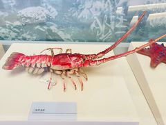 -上海中国航海博物馆