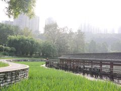 -龙头寺公园
