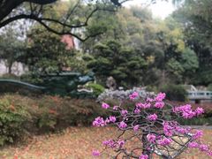 -申粤轩酒楼·三十年粤菜经典(丁香花园店)