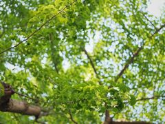 -食膳公园包子铺(烈士公园店)