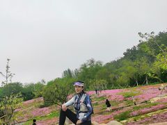 景点-棒棰岛宾馆景区