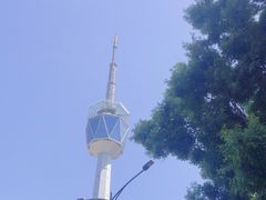 -陕西广播电视塔