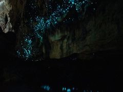 -怀托摩萤火虫洞
