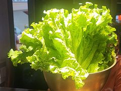 -九田家黑牛烤肉料理(新辰里亚运村店)