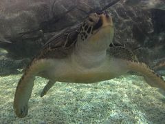 -福州罗源湾海洋世界旅游区