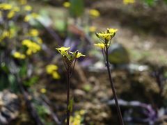 -溪口-滕头旅游景区