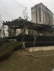 点击看大图 -重庆安琪儿妇产医院-妇幼保健联盟医院