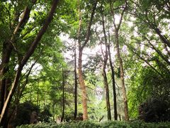 -西南政法大学(沙坪坝校区)