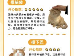 -荔康动物医院(康王北路店)