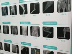 -千城康桥宠物医院CT影像·骨科·心脏专科中心(厚街分院)